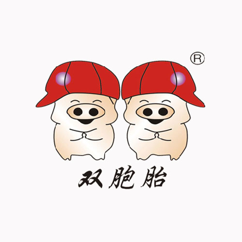 雙胞胎